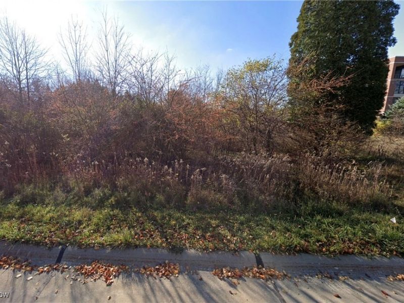 Kumho Drive, Fairlawn, OH 44333 Photo 11