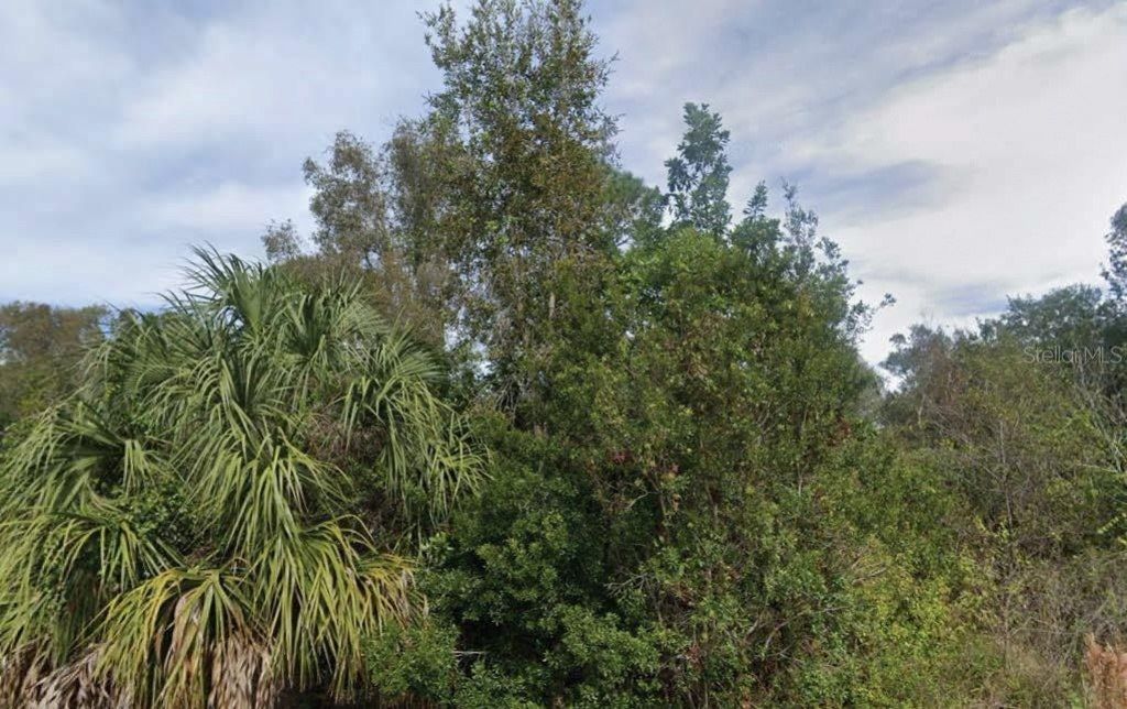 201 N Yellowtail Lane, Punta Gorda, FL 33982 Photo