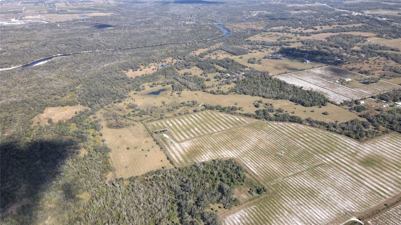 5009 SW Oakwood Avenue, Arcadia, FL 34269 Photo