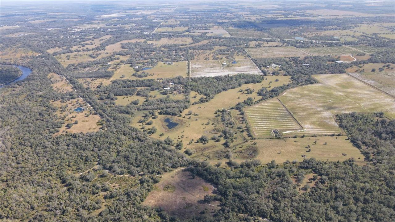 5009 SW Oakwood Avenue, Arcadia, FL 34269 Photo