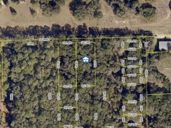 NO STREET, ORANGE CITY, FL 32763