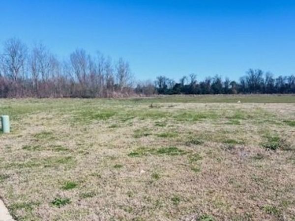 1336 BONAIRE Trace, Alexandria, LA 71303