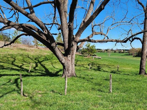 104 CARRSBROOK DR, Unit 19, STAUNTON, VA 24401