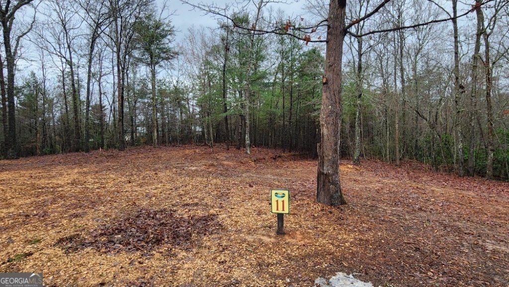 11 Arbor Creek Trail, Mineral Bluff, GA 30559 Main Photo