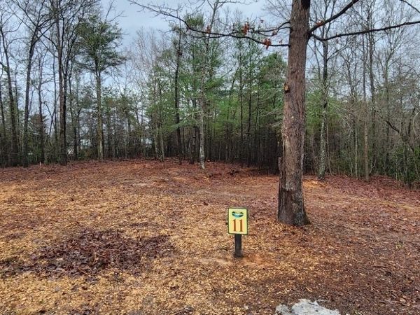 11 Arbor Creek Trail, Mineral Bluff, GA 30559