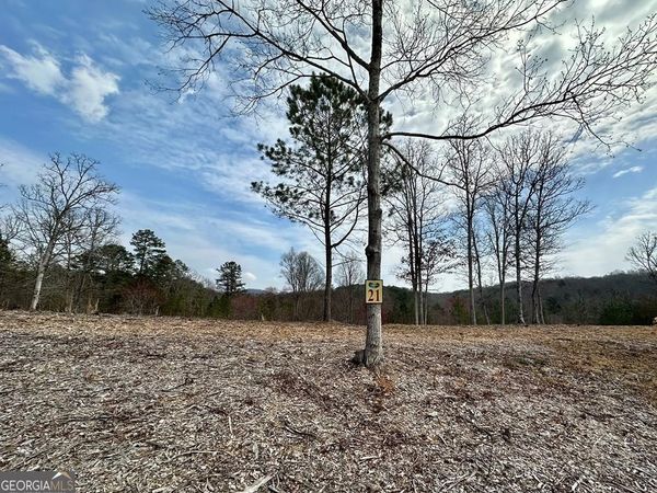 21 Arbor Creek Trail, Mineral Bluff, GA 30559