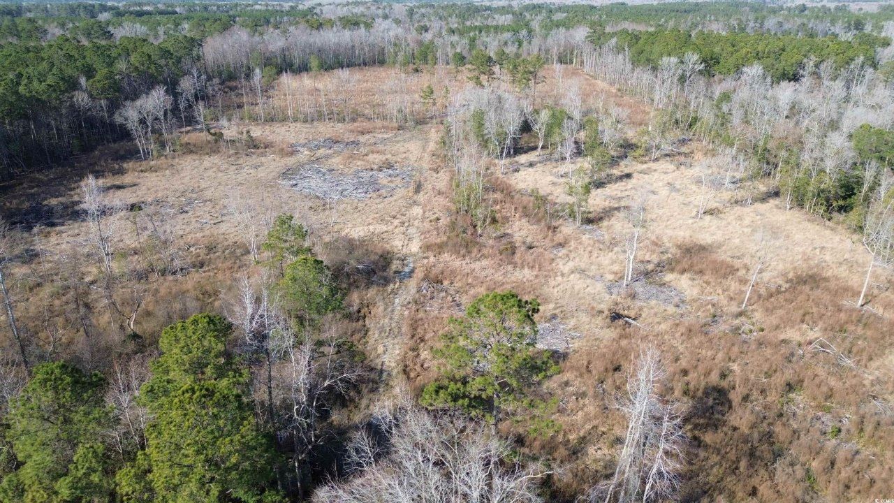 Tbd Highway 905 Photo 11