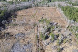 Tbd Highway 905 photo 4
