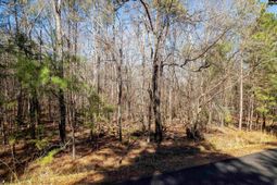 1105 Scooter Bridge Road photo 4