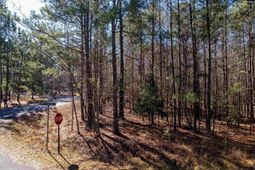 1115 Scooter Bridge Road photo 4