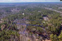 1115 Scooter Bridge Road photo 4