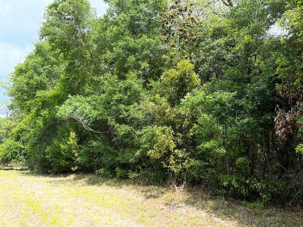 0 NW 70th Cir, Chiefland, FL 32626