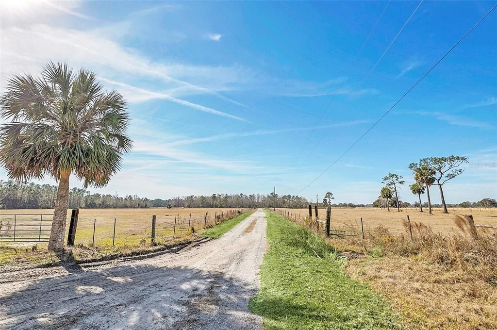 26225 Pitts Road, Eustis, FL 32736 Photo