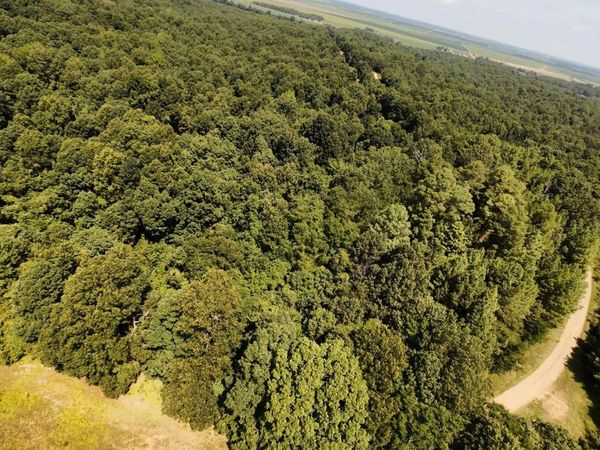 2 CR 449, Pollard, AR 72456