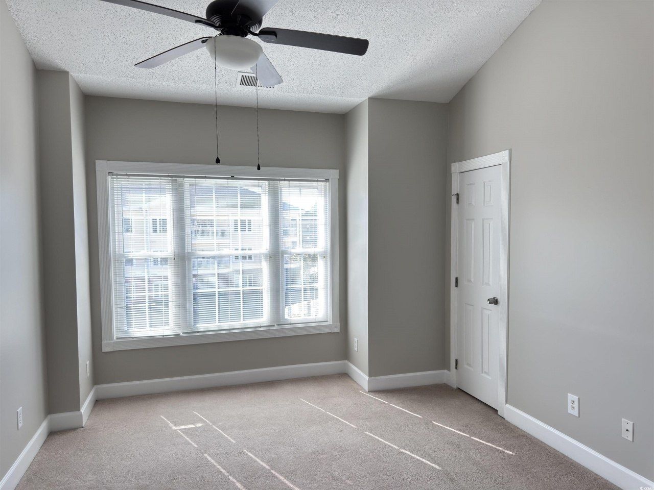 4860 Carnation Circle Photo 22