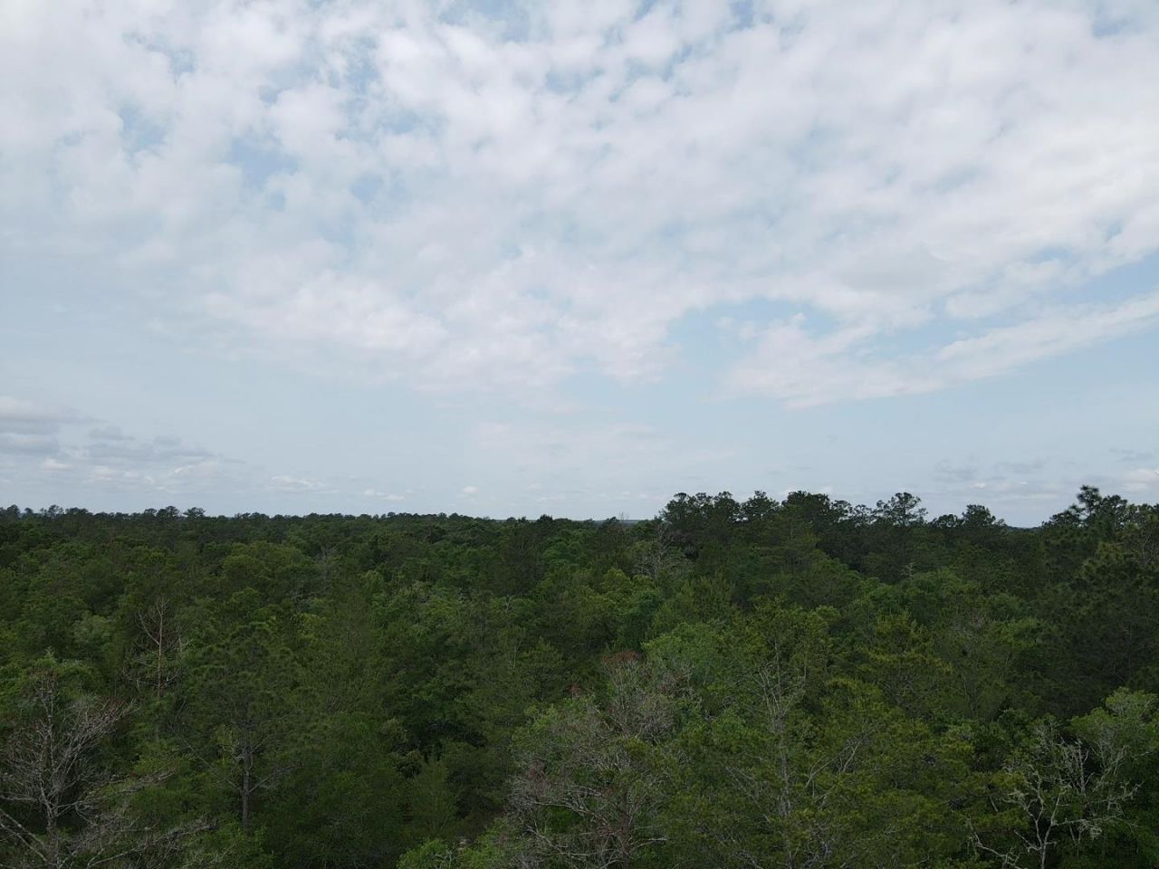 0 Central Road, Midway, FL 32343 Photo