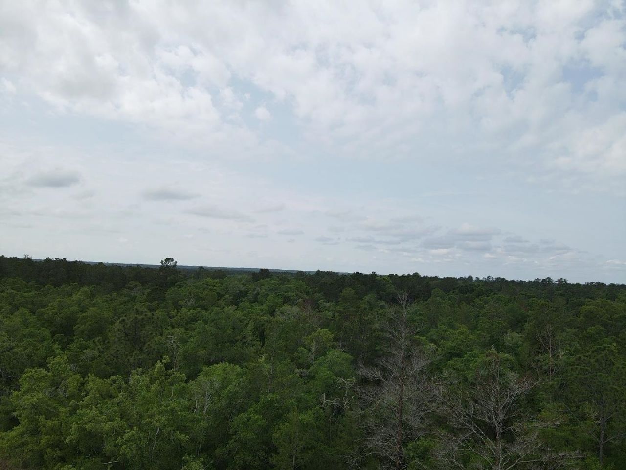 0 Central Road, Midway, FL 32343 Photo