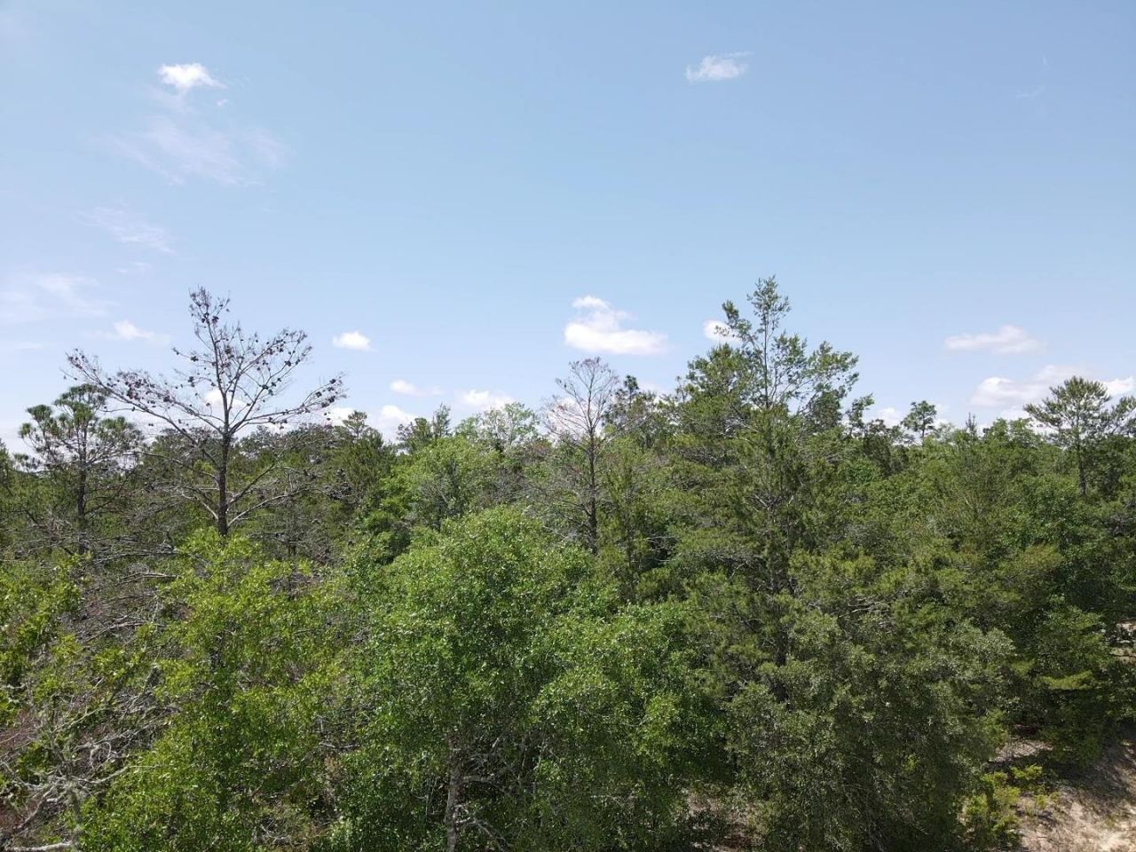 0 Central Road, Midway, FL 32343 Photo