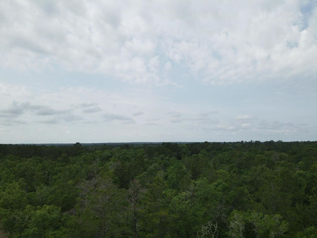 0 Central Road, Midway, FL 32343 Photo