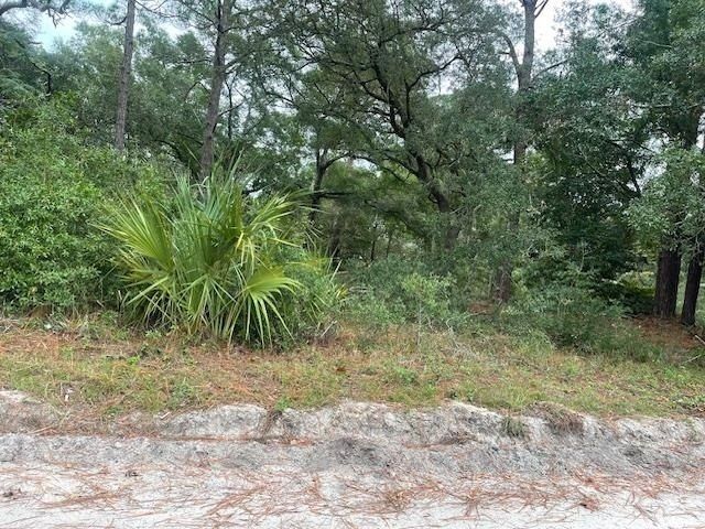 21 Withlachoochee Avenue, Panacea, FL 32346 Photo