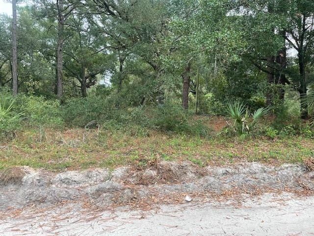21 Withlachoochee Avenue, Panacea, FL 32346 Photo