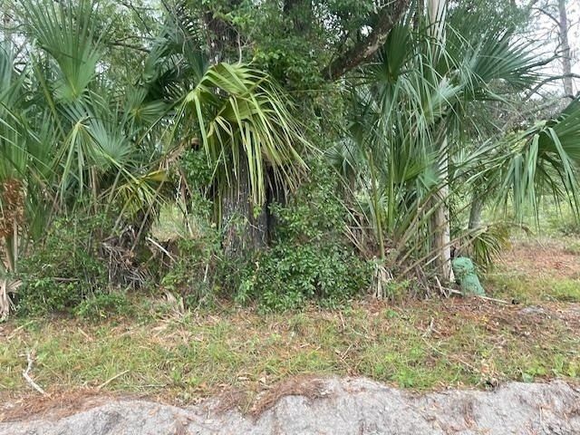 21 Withlachoochee Avenue, Panacea, FL 32346 Photo