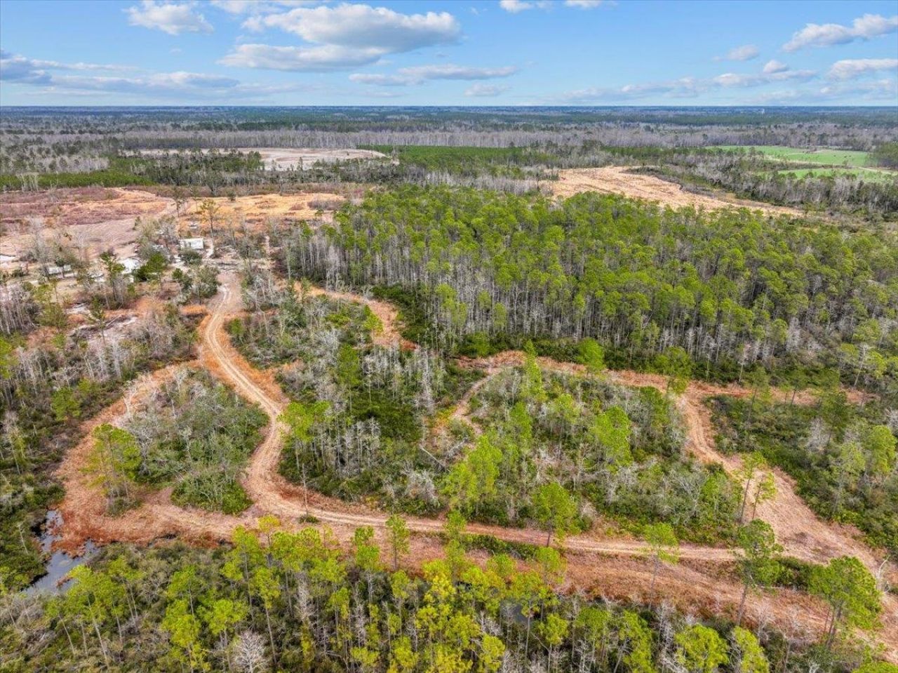 3220 Albert Hendry Road, Greenville, FL 32331 Photo