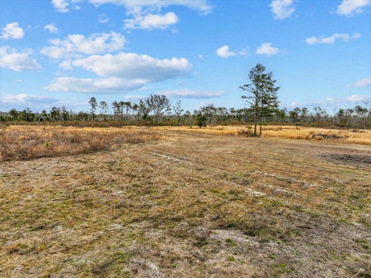 3220 Albert Hendry Road, Greenville, FL 32331 Photo