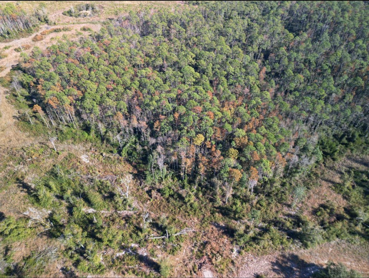 3220 Albert Hendry Road, Greenville, FL 32331 Photo