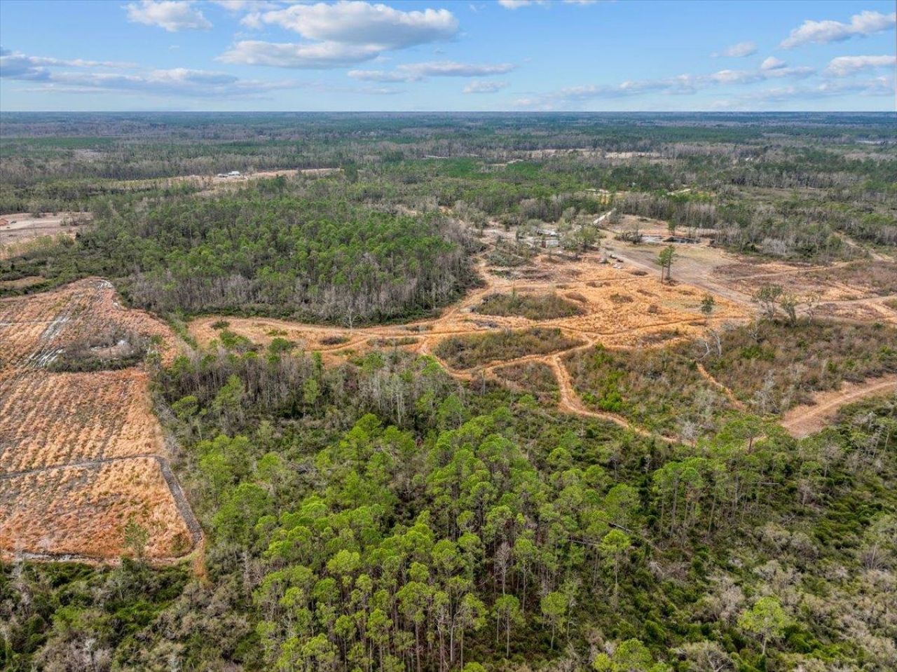 3220 Albert Hendry Road, Greenville, FL 32331 Photo