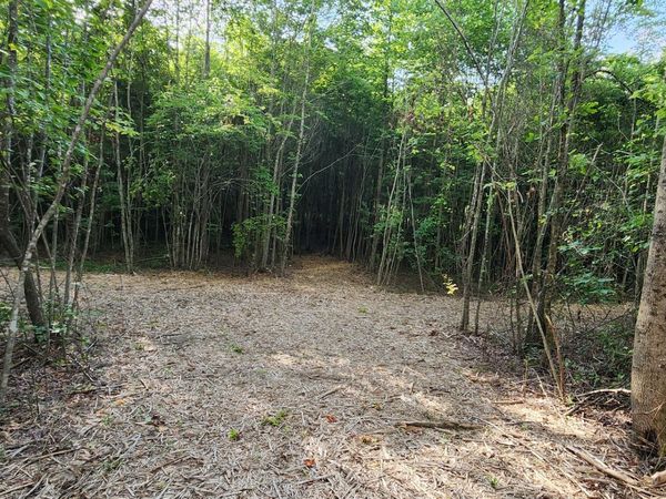 0 Tootley Campbell Rd, Monteagle, TN 37356