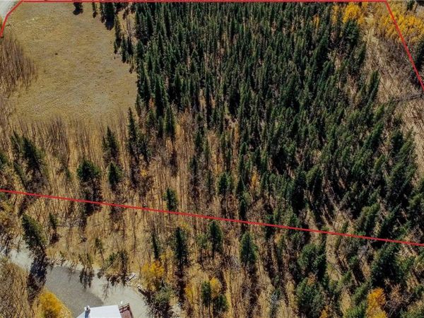 459 Platte River Drive, Fairplay, CO 80440