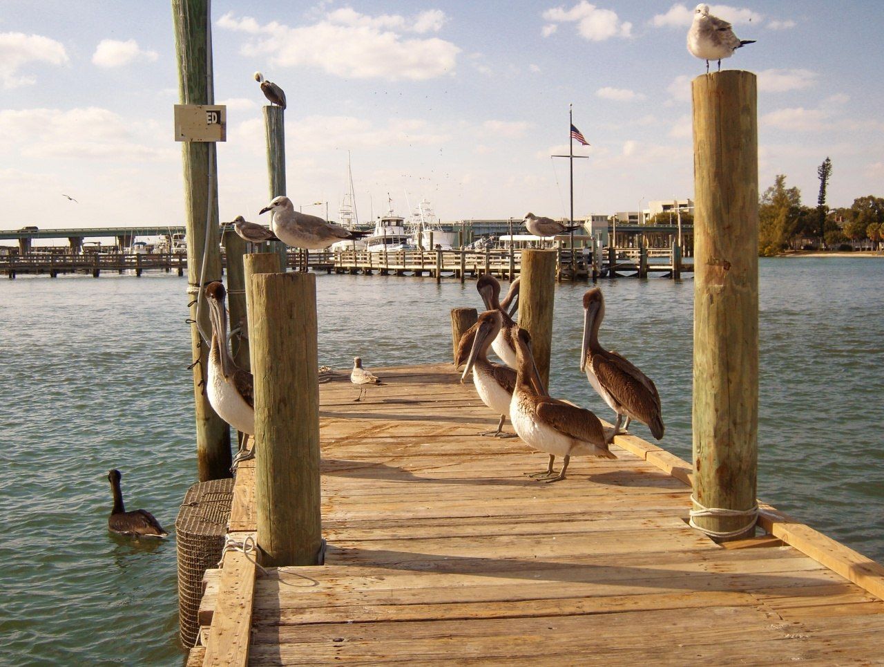 5310 N Ocean Drive, Unit 601, Singer Island, FL 33404 Photo