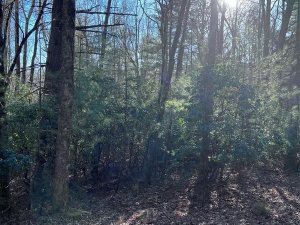 L26 Konnaneeta Trail, Brevard, NC 28712