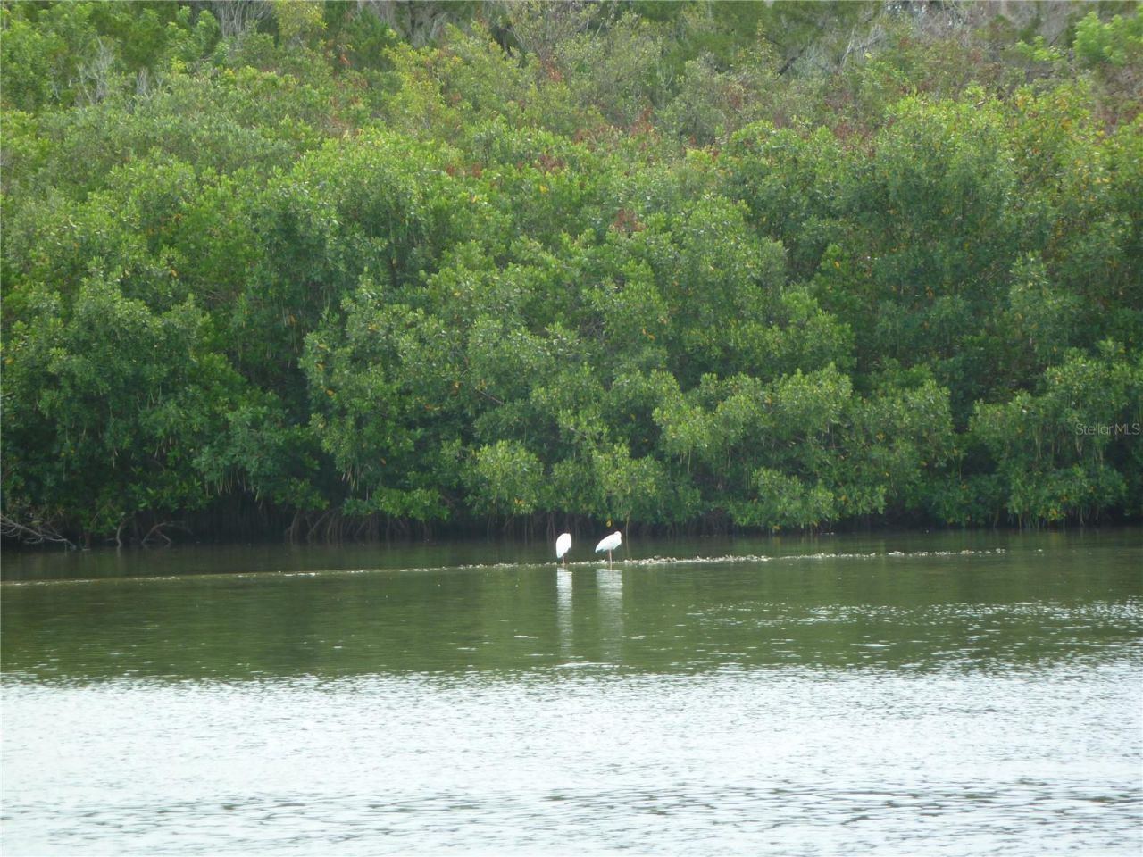 295 E Ariel Road, Oak Hill, FL 32759 Photo