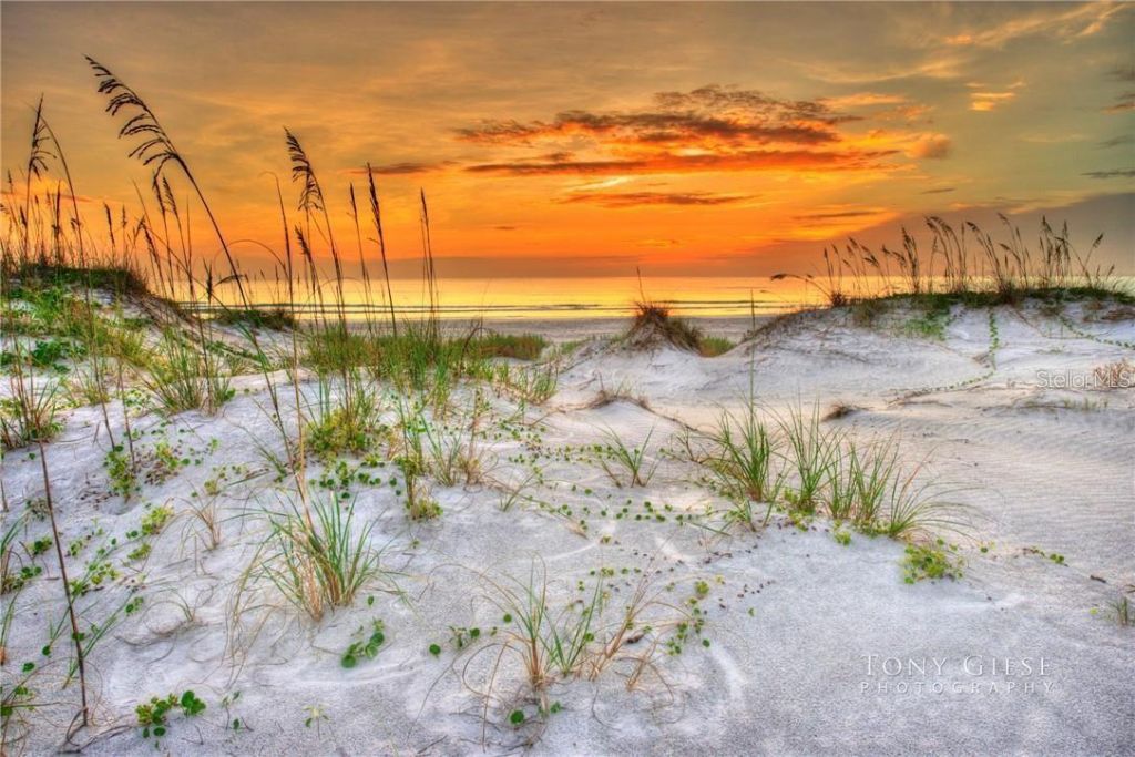 295 E Ariel Road, Oak Hill, FL 32759 Photo