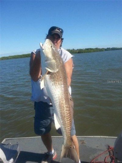 295 E Ariel Road, Oak Hill, FL 32759 Photo