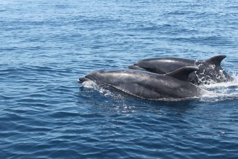 295 E Ariel Road, Oak Hill, FL 32759 Photo