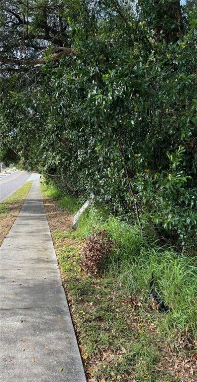 875 Ocoee Apopka Road, Apopka, FL 32703 Photo