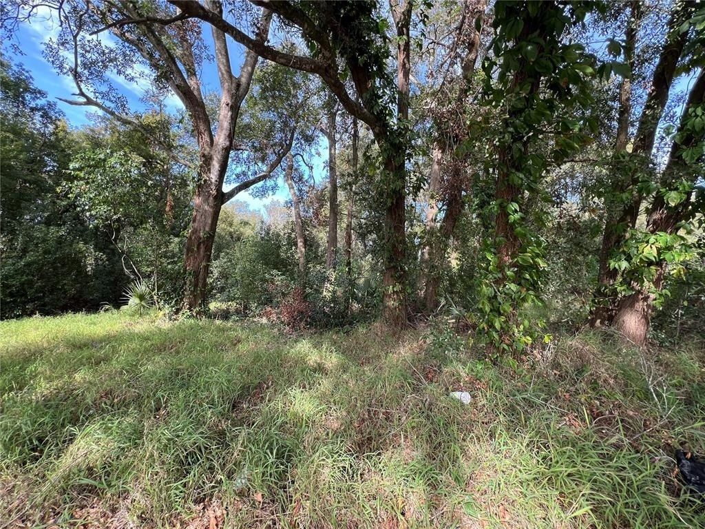 875 Ocoee Apopka Road, Apopka, FL 32703 Photo