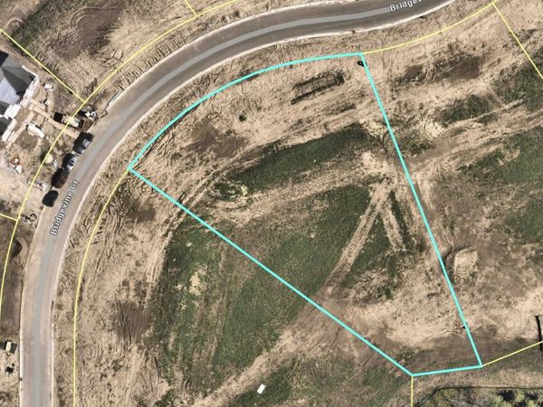 2084 Bridgevine Court, Independence, MN 55373