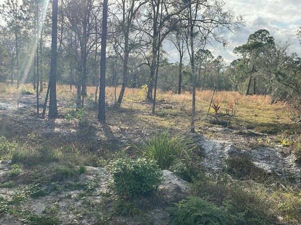 KELLY RIDGE ROAD, FROSTPROOF, FL 33843