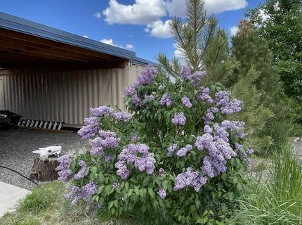 93205 State Route 34, Gerlach, NV 89412 Photo