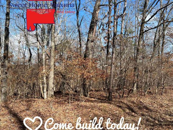 Lot 17 County Road 620, Cedar Bluff, AL 35959