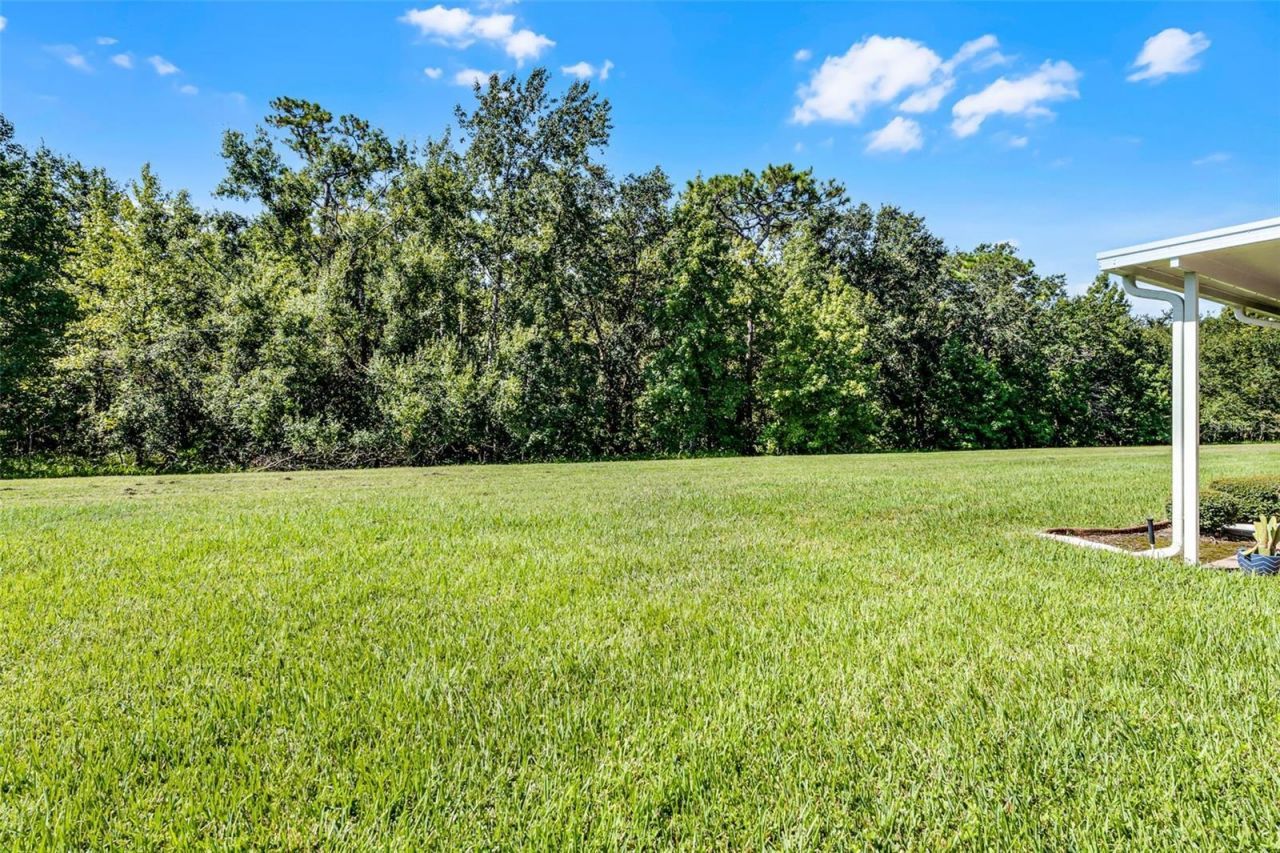 917 Shorehaven Drive, Poinciana, FL 34759 Photo