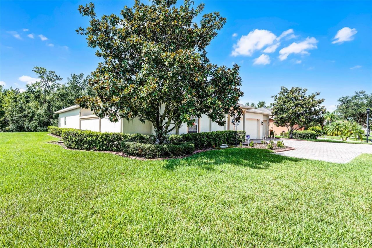 917 Shorehaven Drive, Poinciana, FL 34759 Photo