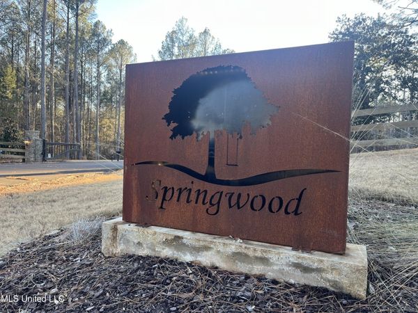 Springwood Trail, Flora, MS 39071