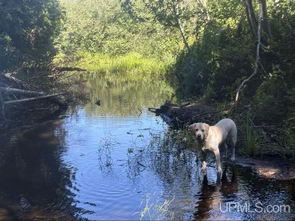 94 + Acres Peter White Road, Onota Twp, MI 49822