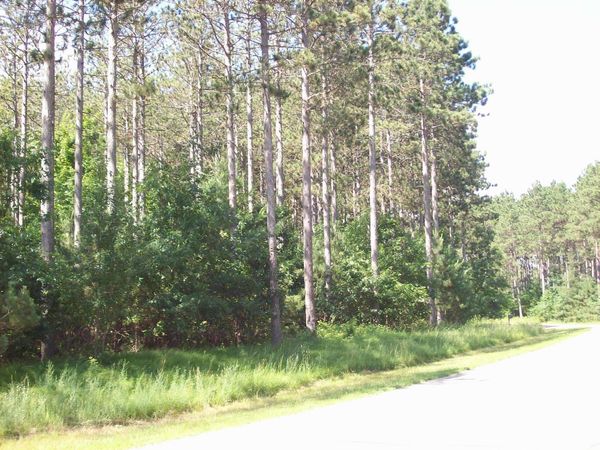 Corner of 7th Porter Road, Nekoosa, WI 54457