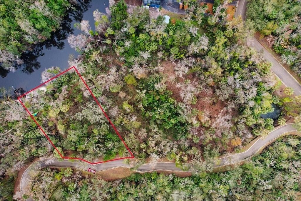 4868 Rambling River Road, Brandon, FL 33511 Photo